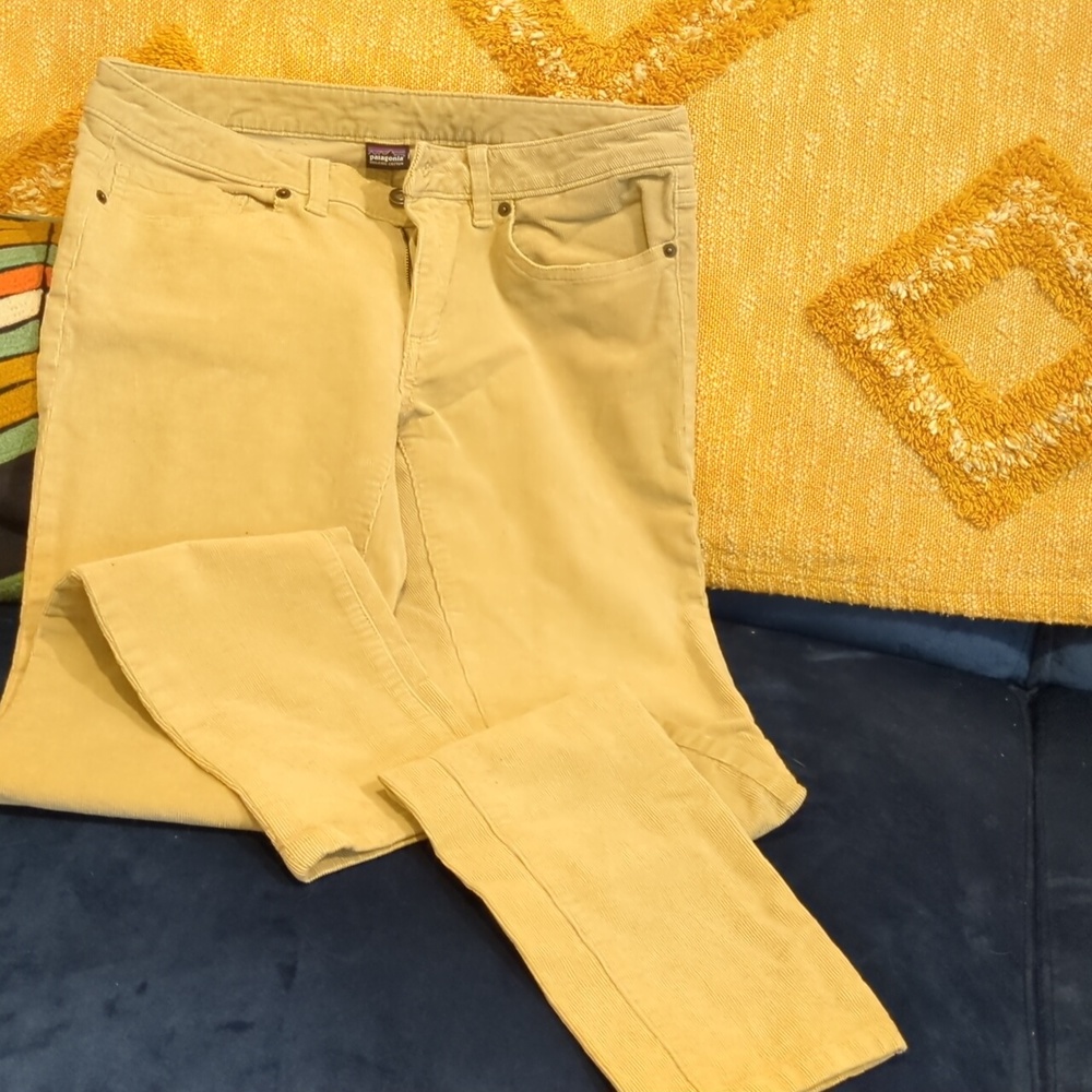 Patagonia Straight Leg Cords